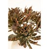 Green and Brown Faux Floral Stem – 28" Tall Botanical Accent by Kalalou - 3 of 3