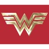Men's Wonder Woman 1984 Metallic Logo Pull Over Hoodie - 2 of 4