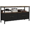 50 Inch TV Stand for Living Room, Dresser TV Stand for with 2 Drawers, Small Entertainment Center with Storage - 3 of 4