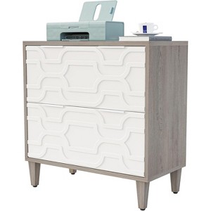 Tribesigns 2 Drawer Lateral File Cabinet, Office Filing Cabinet - 1 of 4