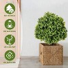 poetree 2ft Artificial Boxwood Topiary Ball,Faux Tree in Pot,2 Pack,for Indoor/Outdoor - 4 of 4