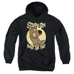 Boys’ Scooby Doo Where Are You Hooded Sweatshirt - 1 of 4