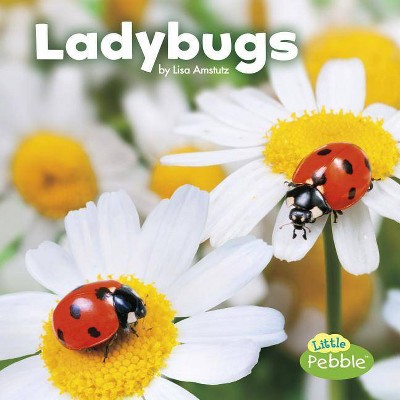 Ladybugs - (Little Critters) by  Lisa J Amstutz (Paperback)