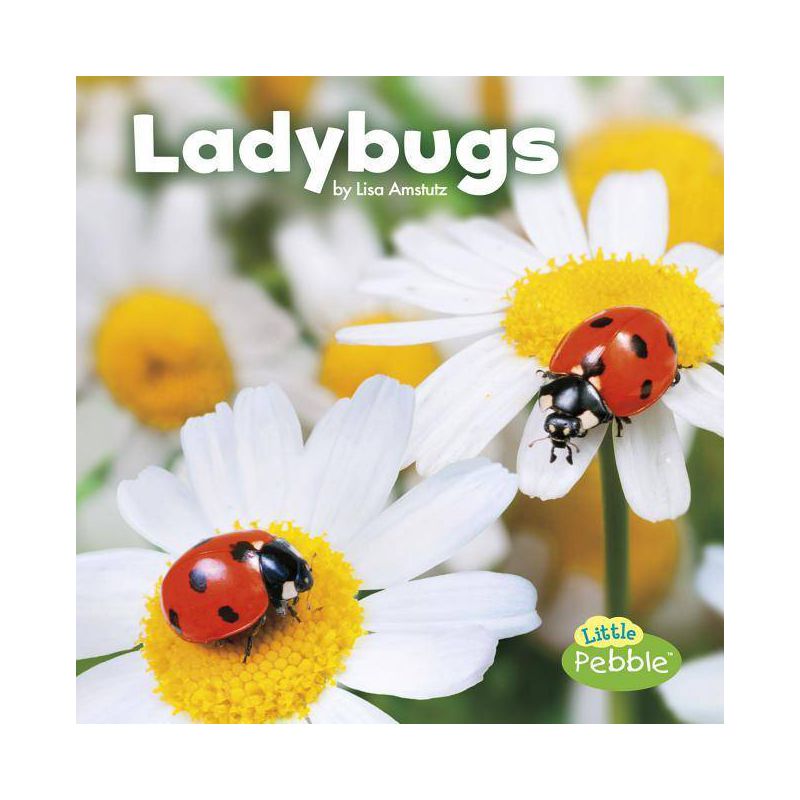 Ladybugs - (Little Critters) by  Lisa J Amstutz (Paperback), 1 of 2