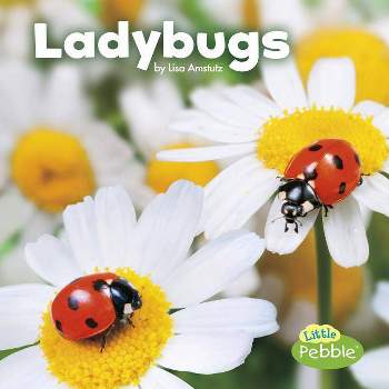 Ladybugs - (Little Critters) by  Lisa J Amstutz (Paperback)