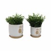 Sagebrook Home 2pc Funky Face Ceramic Planter Pots with Saucers: Weather-Resistant, Hand-Painted - 2 of 4