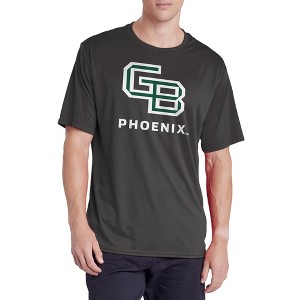 Men's Campus Lab University of Wisconsin Green Bay Men's Sport Active T-Shirt Primary Logo - 1 of 4