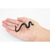 Collectible Wildlife Gifts | Snake, Black Mamba Snake, Rubber Reptile, Realistic Hand Painted,  Model,   Gift,       4 1/2"       F3463 B360 - 2 of 4