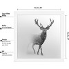 Americanflat 16 x 16 Poster Frame in White with Polished Plexiglass - Horizontal and Vertical Formats with Included Hanging Hardware - 2 of 4