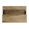 Mango Wood Lift Top Coffee Table with Storage, Two Open Compartments, Iron Base, Ideal for Living Room or Family Room - 3 of 4