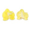 Unique Bargains Women's Phalaenopsis Faux Pearl Duckbill Clip 2 Pcs - 3 of 4