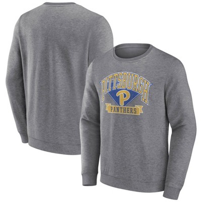 Pittsburgh Steelers Big & Tall Logo Pullover Hoodie - Charcoal