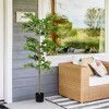 NAYSAYE Planter Black Olive Tree Artificial Faux Plant for Indoor Outdoor Garden Decor, Green, 27.5"*27.5"*70.8" - 2 of 4