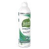 Seventh Generation Disinfectant Spray Eucalyptus & Spearmint - 13.9oz - image 3 of 4