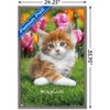 Trends International Keith Kimberlin - Maine Coon Kitten Framed Wall Poster Prints - 3 of 4