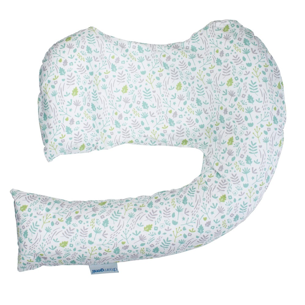 UPC 072239313824 product image for Dr. Brown's Dreamgenii Pregnancy Sleep Support Pillow 2-in-1 Nature Cover - Gree | upcitemdb.com