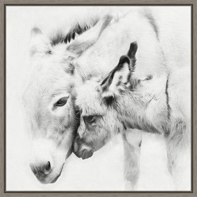 16" x 16" Donkey Portrait III by PH Burchett Framed Canvas Wall Art - Amanti Art