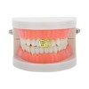 Unique Bargains Hip Hop Rhinestone Heart Fake Grills 1 Pc - 2 of 4