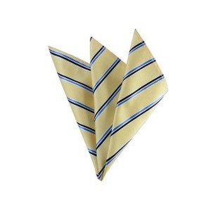TheDapperTie - Men's Stripe Woven 10 Inch x 10 Inch Pocket Squares Handkerchief - 1 of 3