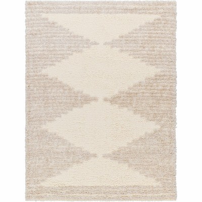 Hauteloom Bayan Beige Plush Area Rug