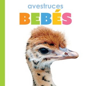 Avestruces Bebés - by  Kim Thompson (Paperback) - 1 of 1