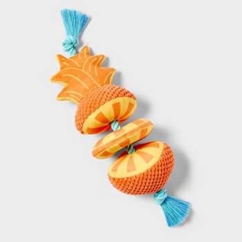 16" Pineapple with Rope Dog Toy - Sun Squad™
