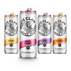 White Claw Hard Seltzer Variety Pack - 24pk/12 fl oz Slim Cans - 2 of 4