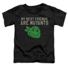 Toddler Boys' Teenage Mutant Ninja Turtles Mutant Friends T-Shirt - 2 of 4