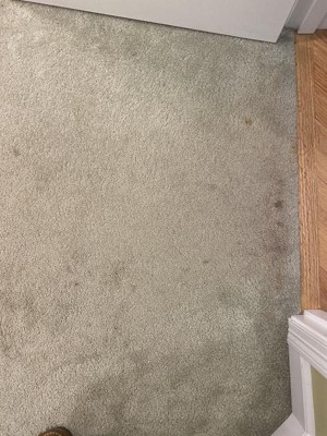 Guest review image 2 of 2, zoom in