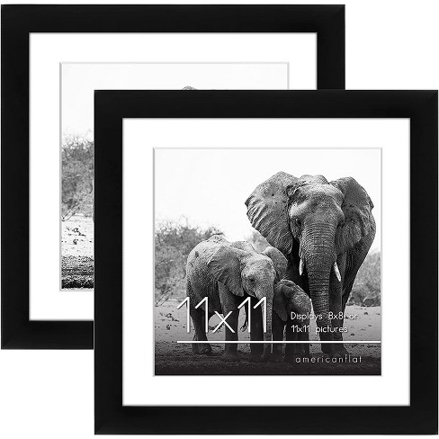 set Of 6) 11 X 11 Matted To 8 X 8 Frame Set - Room Essentials™ : Target