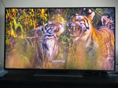 Guest review image 3 of 6, zoom in