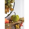 Gulches Series Multicolored Shatterproof Grid Pumpkin Harvest Festival Ornament - 4 of 4