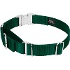 Country Brook Petz Heavyduty Nylon Martingale with Premium Buckle - 2 of 4