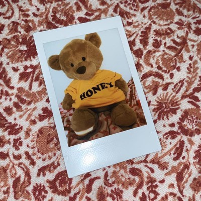 Funny rude leaving teddy bear 