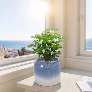 KTMBDW Plant Pots, Ceramic Planters with Drainage Holes, Flower Pots,Nursery Planting Pot for Indoor Out Door Plants - 1 of 4
