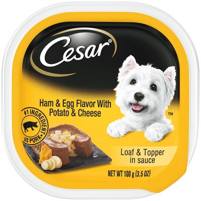 cesar dog food bulk buy