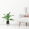 40" Artificial Ceramic Stand Dracaena in Black - LCG Florals - 2 of 3