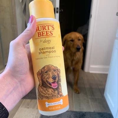 Burt's Bees Oatmeal Shampoo For Dogs, 16 fl oz - Kroger