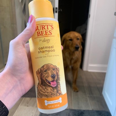 Burt's bees oatmeal dog shampoo reviews hotsell