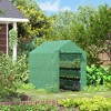 Outsunny Walk-in Greenhouse, 2-Tier Shelf Hot House, Roll Up Zipper Door, UV protective for Flowers, Herbs, Vegetables - 2 of 4