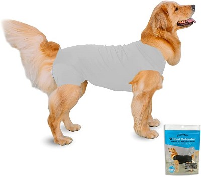 Dog 2024 onesie surgery