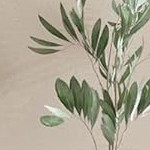 white marble+natural oak