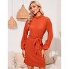 Women Mock Turtleneck Long Lantern Sleeve Self Tie Rib-Knit Dress Casual Loose Winter Pullover Sweater Dresses - 4 of 4