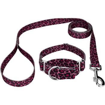 Country Brook Petz Premium Pink Sharks Dog Collar and Leash (1 Inch, Medium)