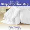 FluffCo Down Alternative Comforter - 3 of 4