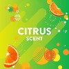 Scrubbing Bubbles Bathroom Cleaner Disinfectant Spray Grime Fighter - Citrus - 32 fl oz - 4 of 4