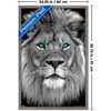 Trends International Reinders: Animals - Blue Eyed Lion Framed Wall Poster Prints - 3 of 4