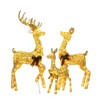 Champagne Cotton Rope Set of 3 Reindeer, Warm White LED Lights, Indoor/Outdoor Holiday Decoration 60" 48" 32" - 4 of 4