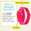 Country Brook Petz HossFit Jr Wide Martingale Dog Collar - Training Collar with No Buckle - Vibrant, Colorful Collection - 4 of 4