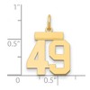Black Bow Jewelry 14k Yellow Gold, Athletic Collection, Small Polished Number 49 Pendant - 2 of 3